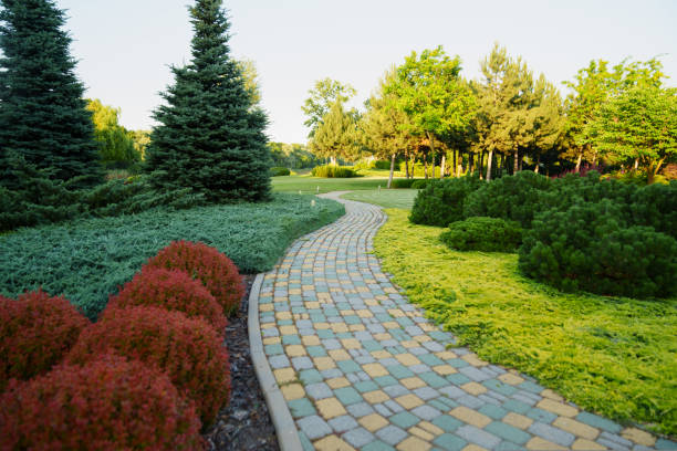 istock Landscaping in the park. stone-paved path in the garden. 1437018167