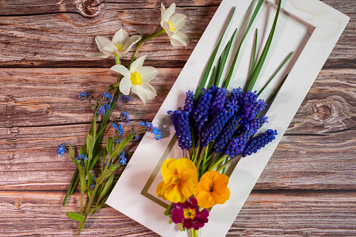 grape hyacinth bouquet with spring flowers on old table
