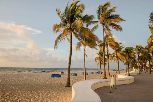 famosa pared de olas blancas en una franja, a1a en fort lauderdale beach, florida, ee. uu. - fort lauderdale fort florida beach fotografías e imágenes de stock