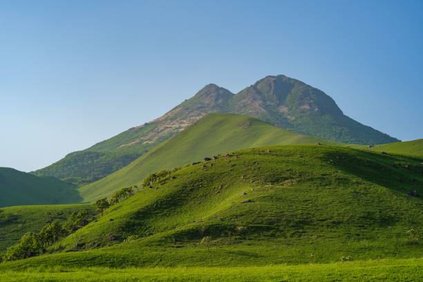 faszinierender berg yufu mit wunderschöner grüner vegetation, die unter sonnenlicht vor dem blauen himmel eingefangen wurde - schichtvulkan stock-fotos und bilder