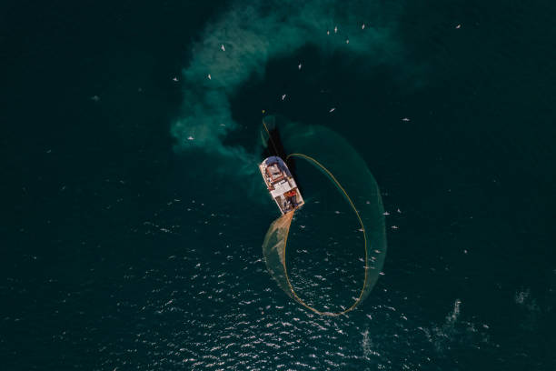 istock Bird Eye View Fishing Boat Collects Nets 1437021420