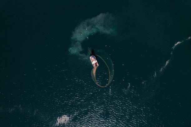 Bird Eye View Fishing Boat Collects Nets