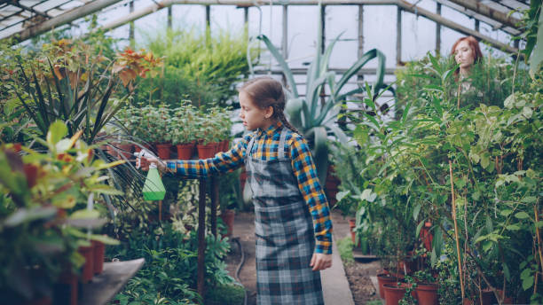 istock Serious child in apron is watering flowers using spray bottle while her young mother is working in greenhouse. Family business, interesting hobby and people concept. 1437021447