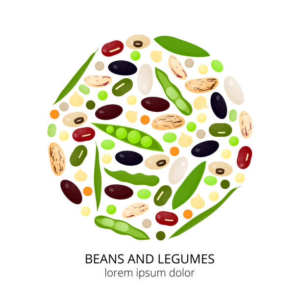 cartoon-bohnen und hülsenfrüchte im kreis. - soybean fava bean broad bean bean stock-grafiken, -clipart, -cartoons und -symbole