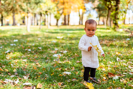 Serious toddler looking angry at camera in autumn park holding a leaf in hands