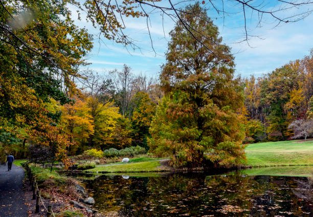 istock Autumn colors in a park setting 1437033316