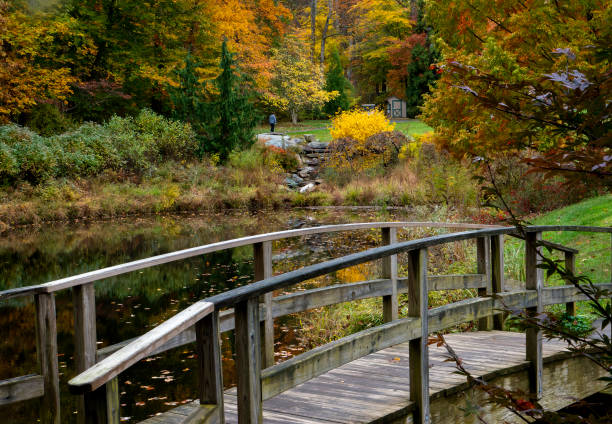 istock Autumn colors in a park setting 1437033342