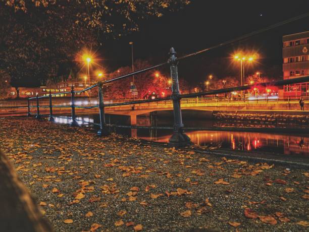 istock View of illuminated bridge in city at night 1437034665
