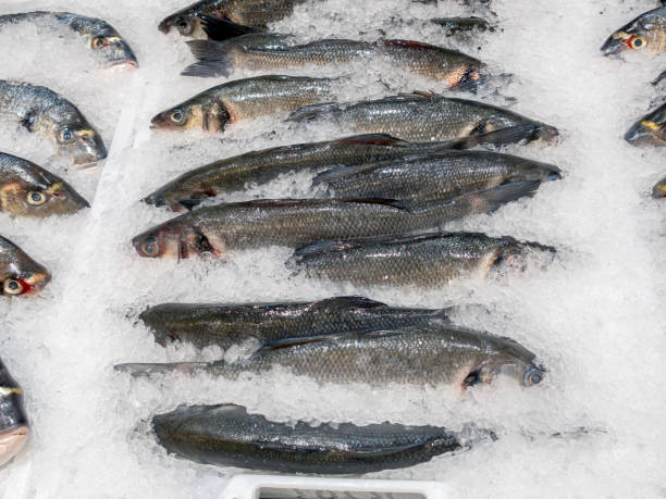 istock Fish on a fish market 1437036658