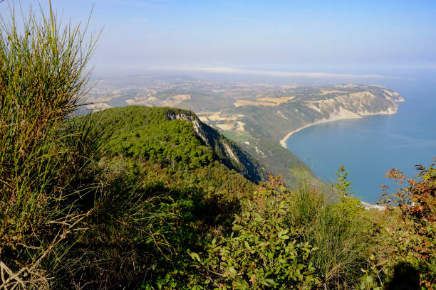 istock Portonovo bay from above 1437038002