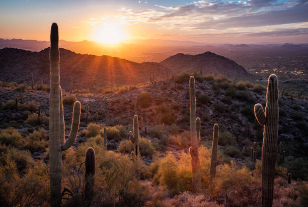 istock Sunset in the Majestic McDowell Mountains 1437045155