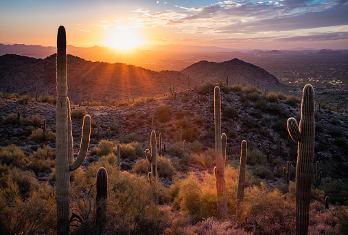 Sunset in the Majestic McDowell Mountains overlooking Scottsdale, AZ