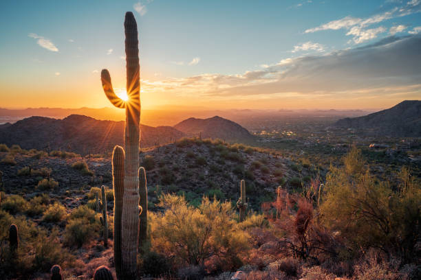 istock Sunset in the Majestic McDowell Mountains 1437045165