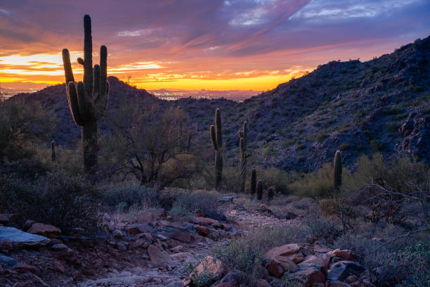 istock Sunset in the Majestic McDowell Mountains 1437045282