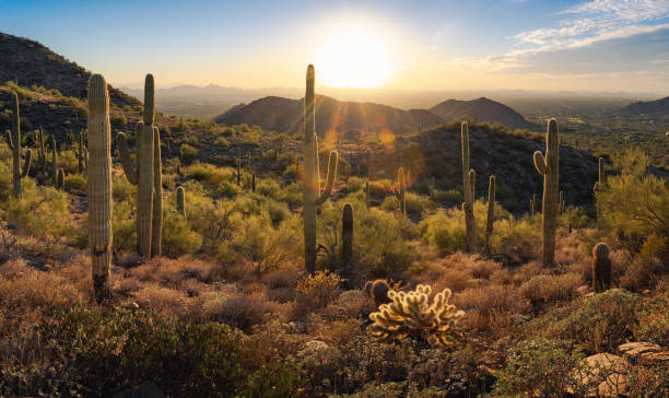 istock Sunset in the Majestic McDowell Mountains 1437045283