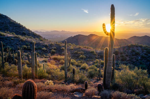 istock Sunset in the Majestic McDowell Mountains 1437045395