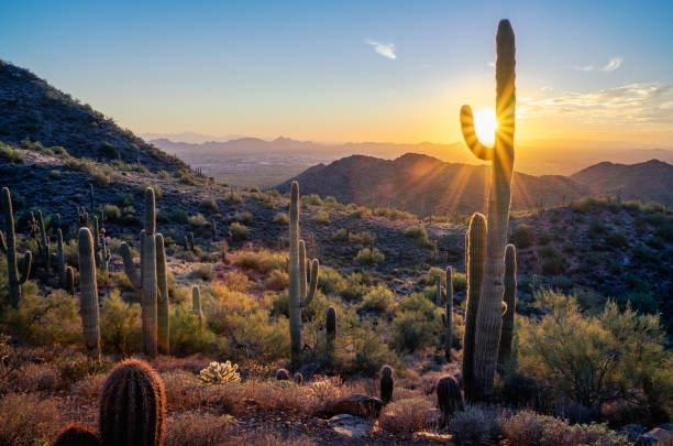 Sunset in the Majestic McDowell Mountains stock photo