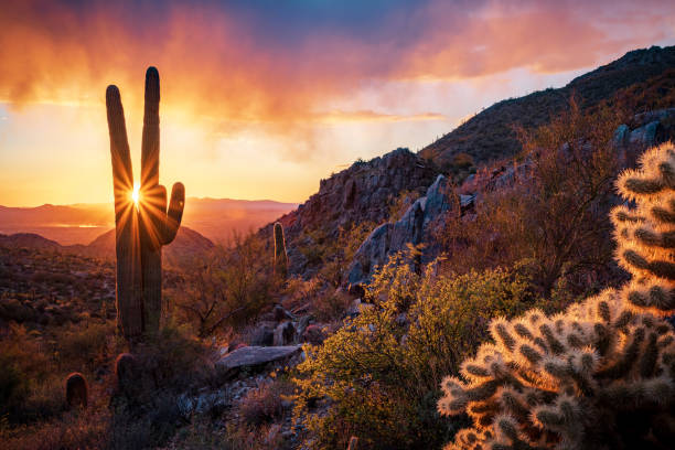 istock Sunset in the Majestic McDowell Mountains 1437045398
