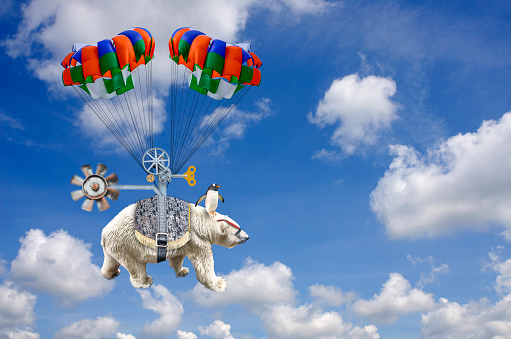 Digitally generated with my photographic images.\n\nTired of the cold arctic weather, a polar bear, navigated by a penguin, decides to fly south to warmer weather and takes flight into the stratosphere.