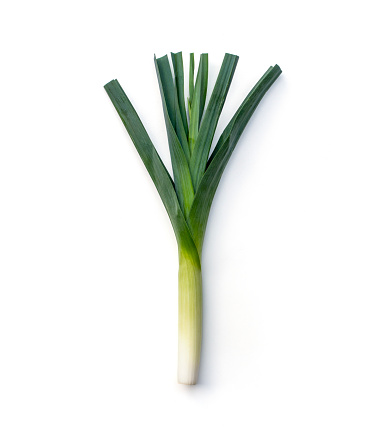 a stick of leek in front of a white background