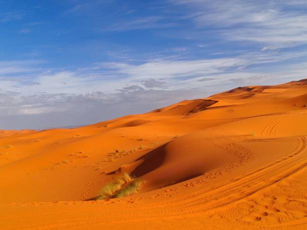 istock Sahara Desert in Morocco and tire tracks left on the sand 1437050331