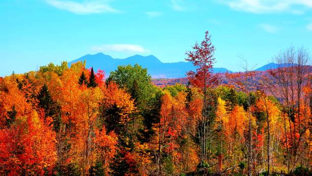 istock Fall season looking the the Bigelow Mountain Range 1437050779