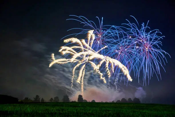 Fireworks with blue and yellow stars against dark night sky. Green meadow and tree line. Ideal for Sylvester and New Year's Day. Germany, Ostfildern.