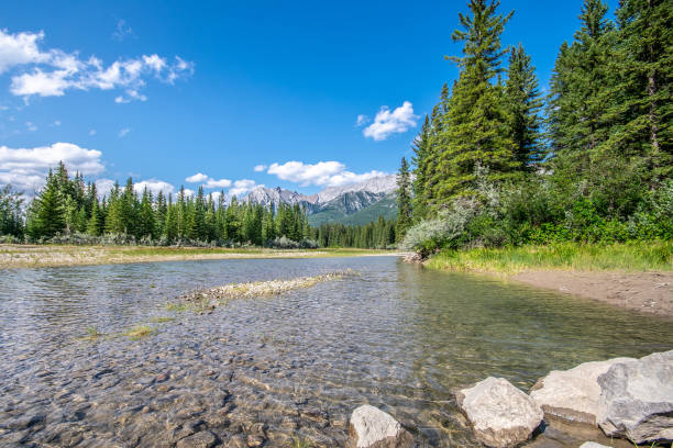 istock Trans Canada Trail in Canmore, Alberta. The rocky mountains in the background. 1437054623