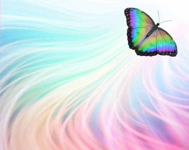 Up up and away Rainbow Butterfly Soul Journey Concept multicoloured butterfly flying off top right with rainbow coloured flowing lines trailing behind and copy space ideal for an advert, invite, memo template butterfly bulletin board stock pictures, royalty-free photos & images