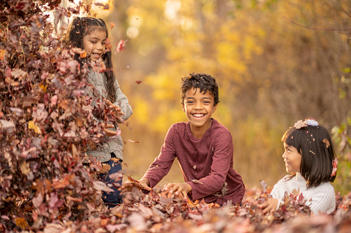 A group of young school aged children play together in a pile of crunchy fall leaves as they sped time outside in the crisp Autumn air.  They are each dressed warmly and are smiling as they enjoy the time together playing.