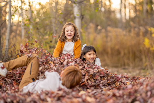 Family fun outdoors in the autumn by throwing fallen leaves up in the air.