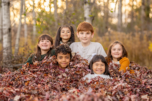 A group of six school aged children huddle in closely together as they pose for a fall portrait in a pile of crisp Autumn leaves.  They are each dressed warmly and have smiles on their faces as they enjoy the sunny evening in the forest together.