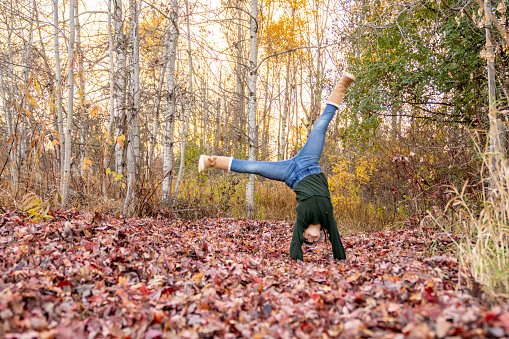 A sweet little school aged girl does a cartwheel through a pile of crisp fall leaves as she plays outside in the fresh Autumn air.  She is dressed warmly and is upside-down in this photo as she flips through the forest.