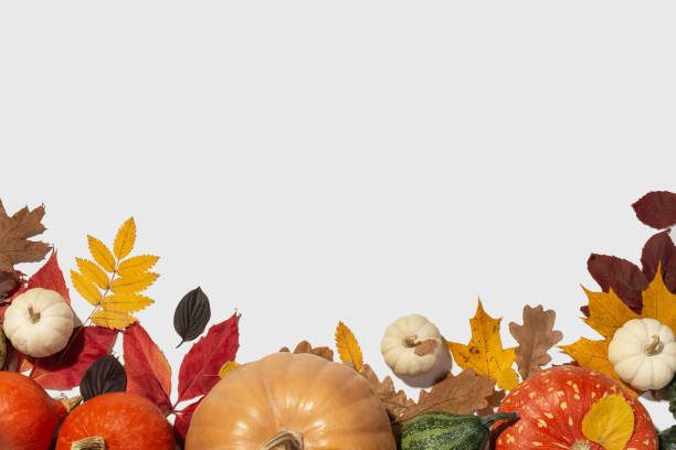 istock Autumn background with bright leaves and pumpkins 1437061922