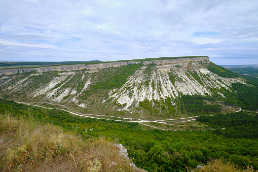 cement chalk Quarry with Wild Mignonette flowers.