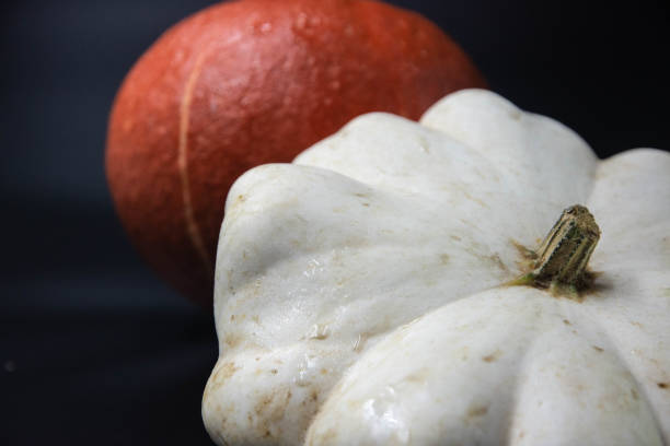 Decorative Gourds on a white background
