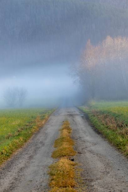 istock Mysterious foggy road landscape 1437066771