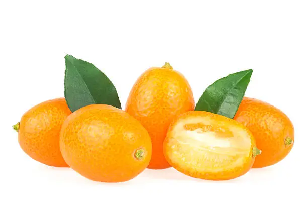 Photo of Fresh kumquat fruits with green leaves isolated on a white background. Delicious and juicy kumquat fruits.