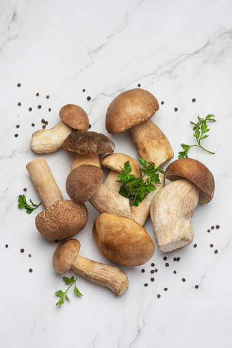 Culinary background with porcini mushrooms, wooden board and spices on a light gray background