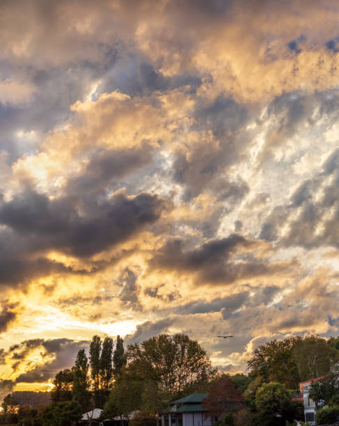 Beautiful clouds in the sky at sunset over trees