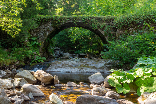 Old Roman bridge in the Rodopi mountain situated in Bulgaria