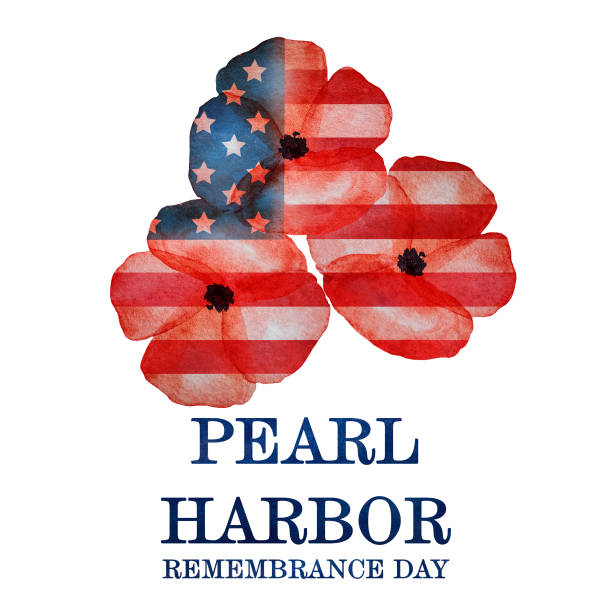 ilustraciones, imágenes clip art, dibujos animados e iconos de stock de día del recuerdo de pearl harbor. hermosa tarjeta. closeup - pearl harbor