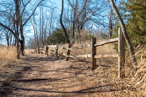istock Winding path in nature with a wooden fence 1437088255