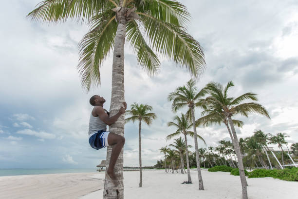 istock African American man climbing palm 1437088936