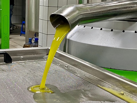 Nature olive oil production