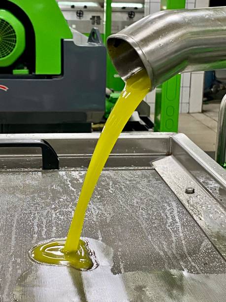 istock olive oil production 1437091682