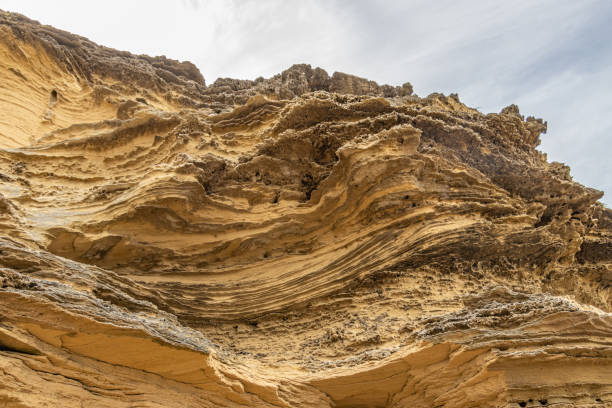 istock Wind sculptured cliff face at Gericke's Point, Western Cape 1437092024