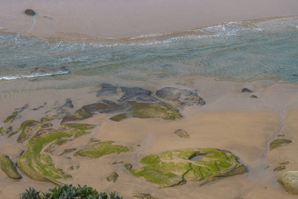 View looking down onto the beach at Wilderness, Western Cape, from the cliff top onto the rocks and sand. There is a stream of turquoise water running across the beach from the last wave. The rocks appear to have formed a semicircle and are covered in green seaweed.