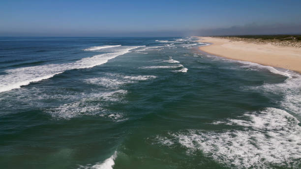 istock Side view of waves crashing on sandy beach 1437093890