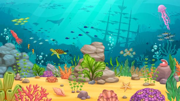 ilustrações, clipart, desenhos animados e ícones de paisagem subaquática do desenho animado, fundo do jogo - dolphin animal sea underwater